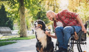 Tampa Social Security Disability Lawyer