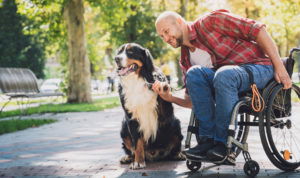 Tampa Social Security Disability Lawyer