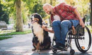 Tampa Social Security Disability Lawyer