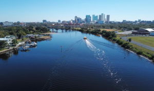 Tampa Skyline